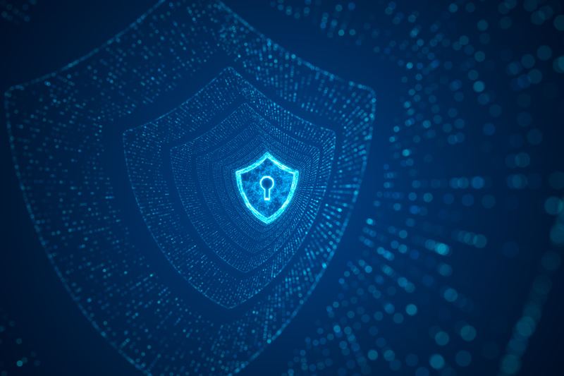 Illustrated shield guarding a digital network